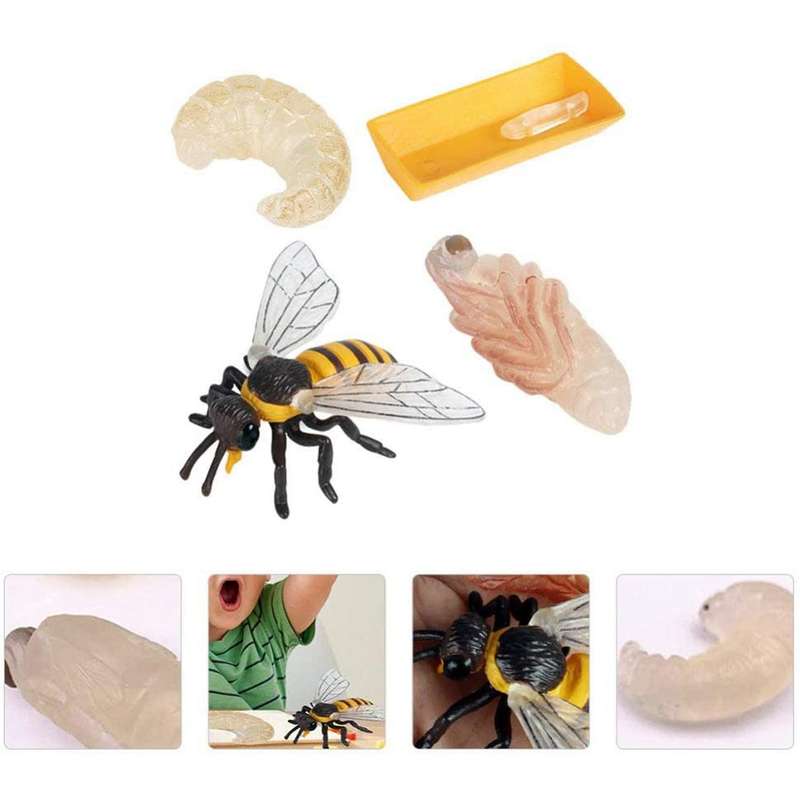 Pack Of 4 Insect Figurines Life Cycle Of Realistic Insects Figures Toys Educational Science Model T