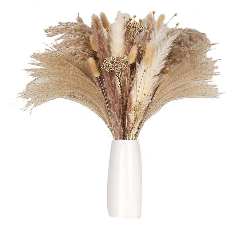 Pampas Grass, 100 Pcs Dried Pampas Grass Decor Tall 17 Inch,Natural Brown & White Pampas Grass Bunn