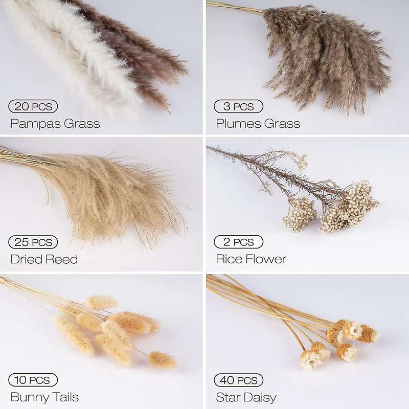 Pampas Grass, 100 Pcs Dried Pampas Grass Decor Tall 17 Inch,Natural Brown & White Pampas Grass Bunn