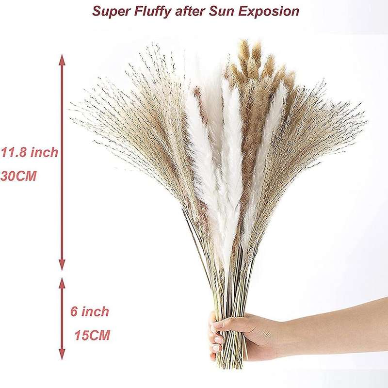Pampas Grass Decor, 100pcs Natural Dried Fluffy Pompous Grass, 17.5inch Dried Flowers for Boho Home