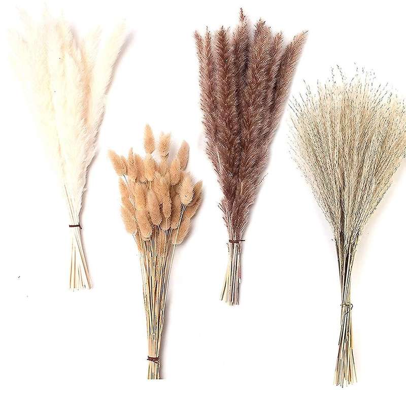 Pampas Grass Decor, 100pcs Natural Dried Fluffy Pompous Grass, 17.5inch Dried Flowers for Boho Home