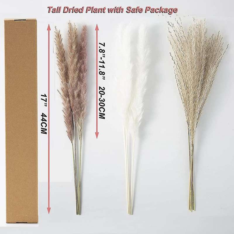 Pampas Grass Decor, 100pcs Natural Dried Fluffy Pompous Grass, 17.5inch Dried Flowers for Boho Home