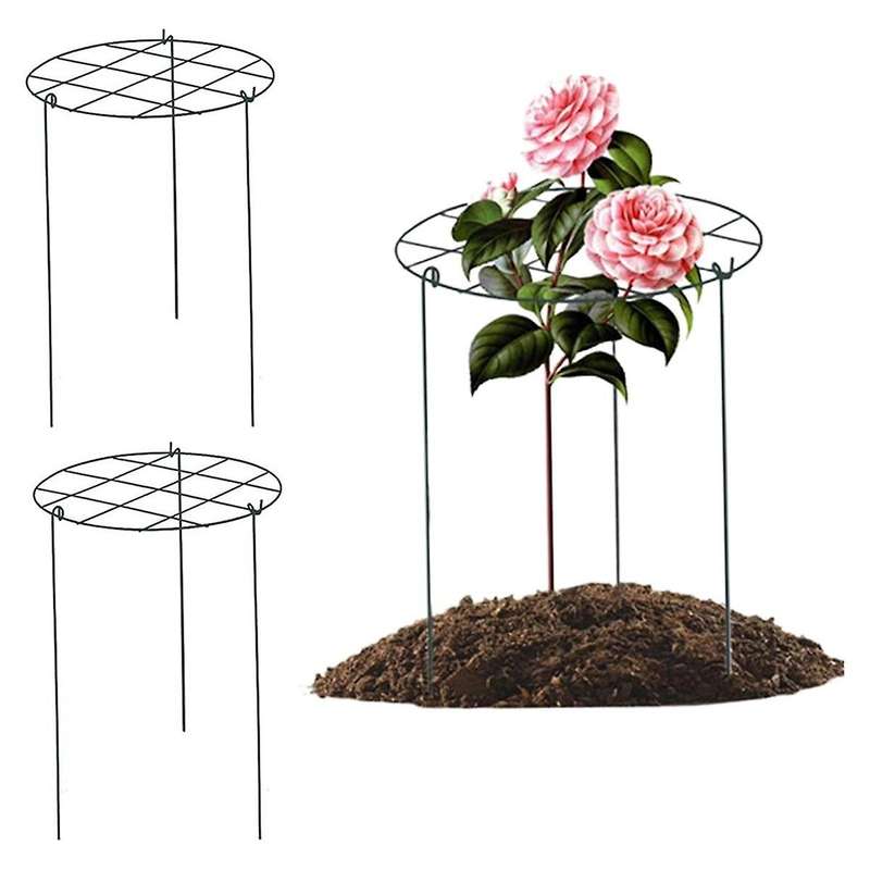 Peony Stand, Peony Support Cage, Plant Stand Growing Plant Stand Suitable for Roses, , Orchids
