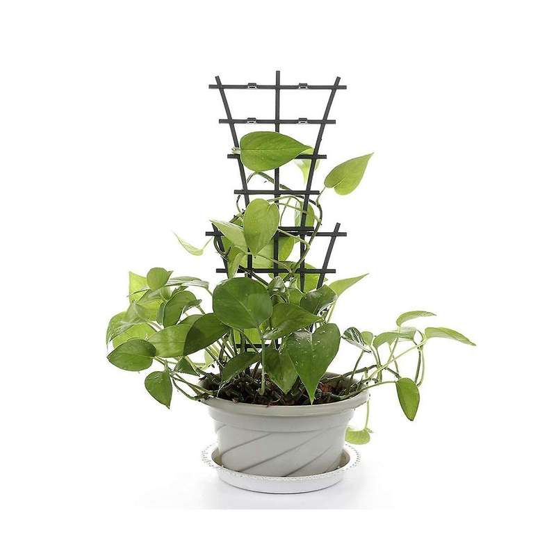 Plant Climbing Stand Flower Pot Stand Indoor Plant Stand Small Plant Climbing Stand for Potted Plan