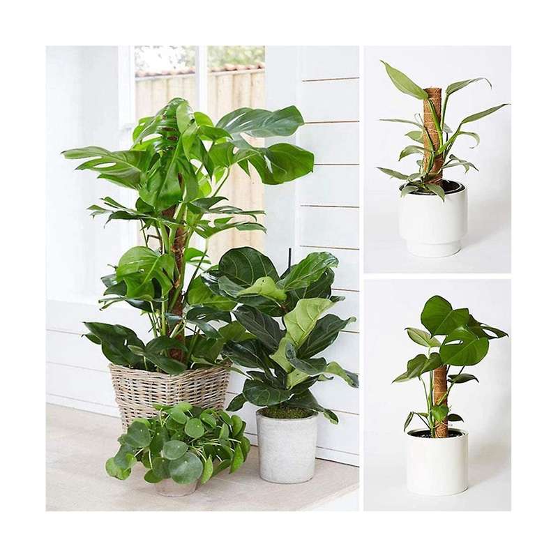Plant Moss Coir Pole Bendable Plants Climbing Support Extension Palm Vines Stick Indoor Balcony Cou