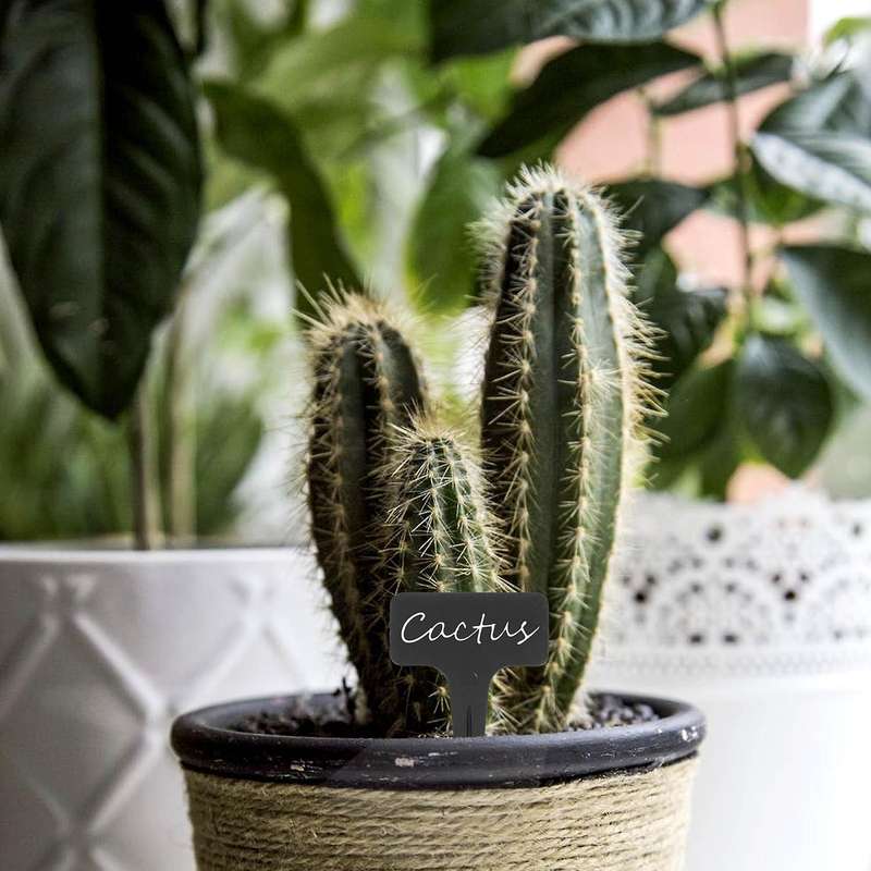 Plant Label T-shaped Label Plant Garden Flower Pot Mark Suitable for Seed Potted Herbs Flowers