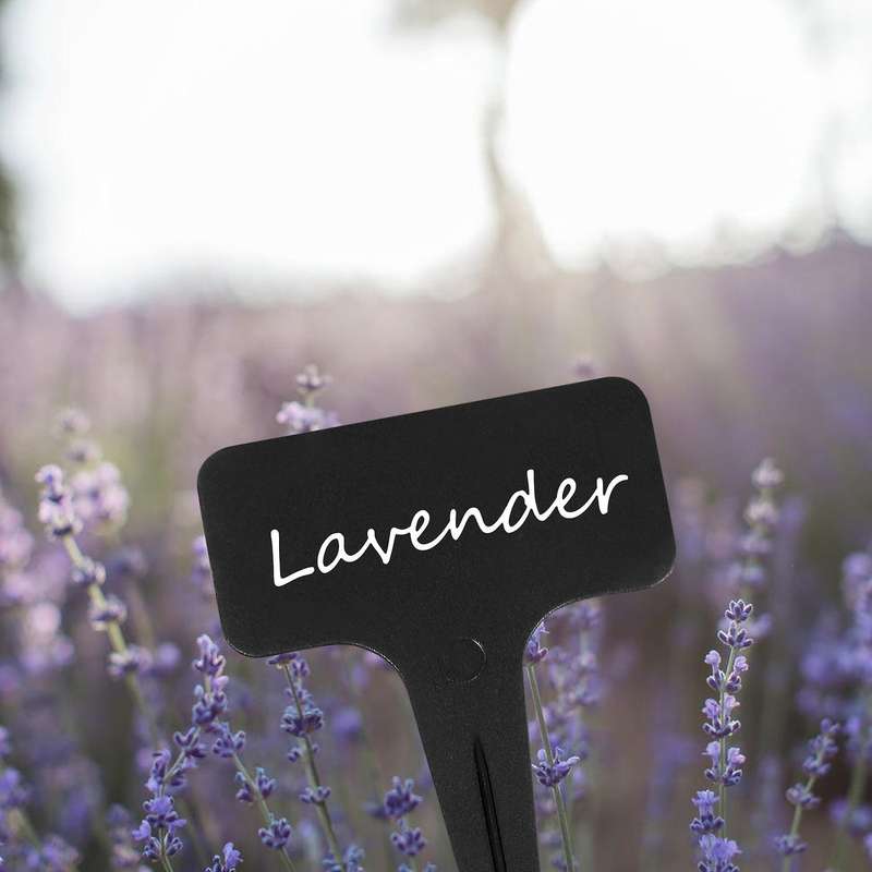 Plant Label T-shaped Label Plant Garden Flower Pot Mark Suitable for Seed Potted Herbs Flowers