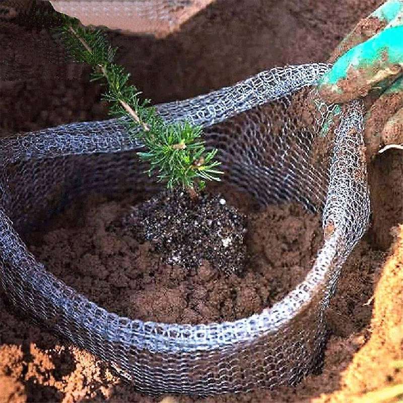 Plant Root Guard Baskets 6 Pcs Root Guard Wire Basket Cages Underground Stainless Steel Wire for Pla