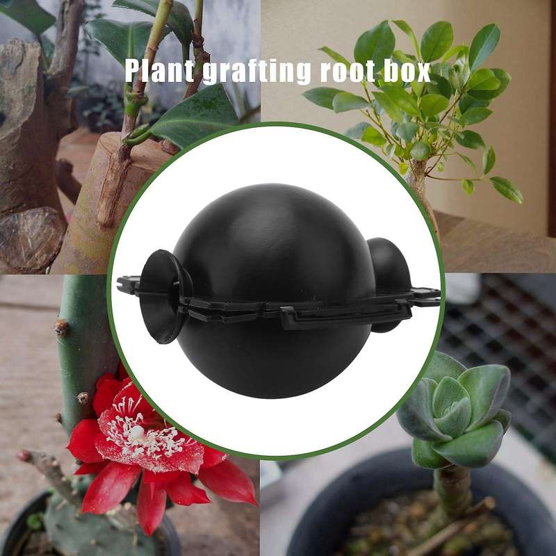 Plant Rooting Box High Pressure Propagation Ball Grafting S,Blackx 10