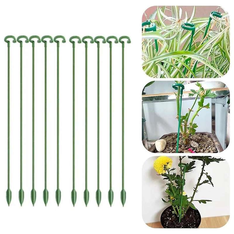 Plant Support Piles and Single Plant Stem Flower Support Poles are Suitable for Indoor and Outdoor R