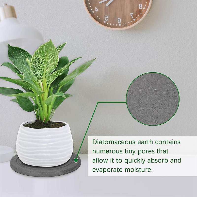 Plant Saucer Flower Pot Saucers Plant Trays for Pots Instant Dry Diatomaceous Drip Trays for Indoors