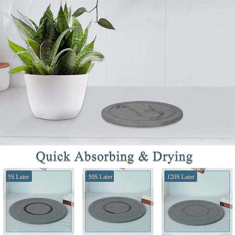 Plant Saucer Flower Pot Saucers Plant Trays for Pots Instant Dry Diatomaceous Drip Trays for Indoor