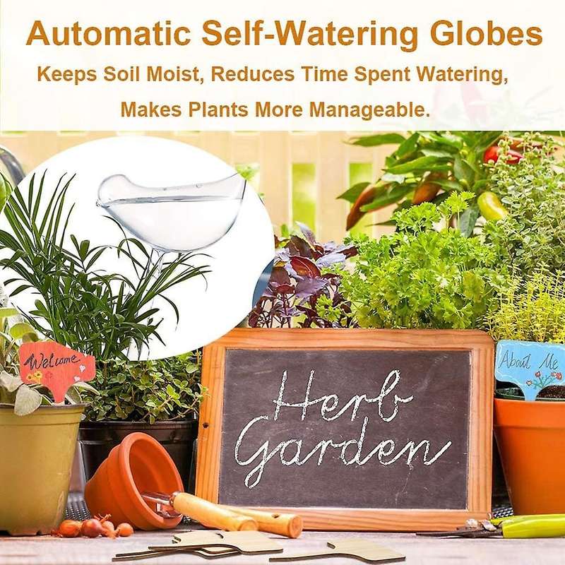 Plant Watering Globes - 5Pcs Plant Watering Devices Premium Plant Waterer Self Watering Spikes Water