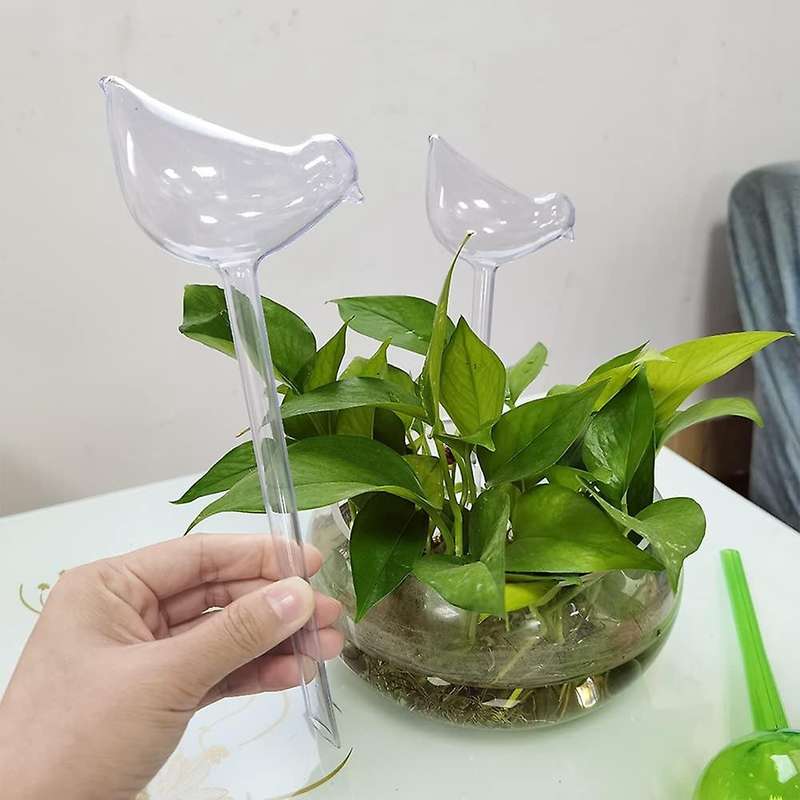 Plant Watering Globes - 5Pcs Plant Watering Devices Premium Plant Waterer Self Watering Spikes Water