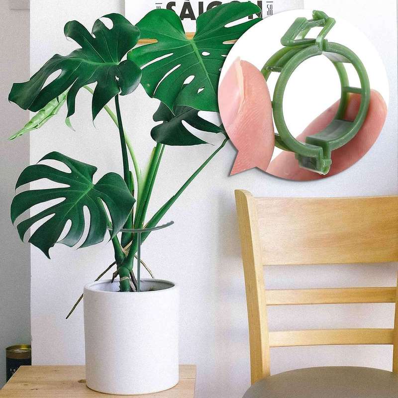 Plant Support, 12 Pcs Plant Stakes Half Round Ring Plant Cage Holder Flower Pot Climbing Trellis Wi