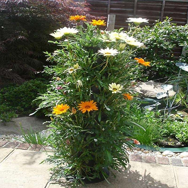Plant Tower Garden Plant Container Freestanding Flower Tower Standing Plant Flower Tower Garden Plan