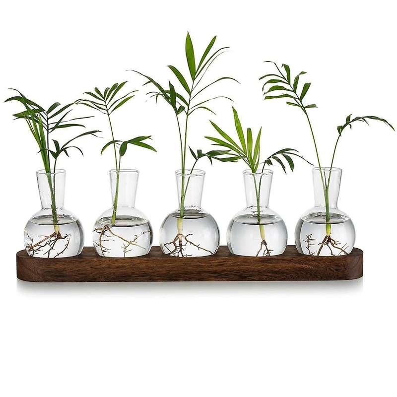 Plant Terrarium Propagation Station, Glass Planter Bulb Vase with Wooden Tray, Modern Bud Vases for