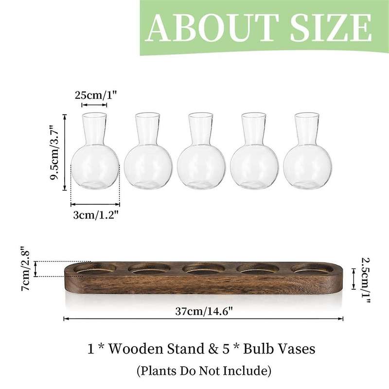 Plant Terrarium Propagation Station, Glass Planter Bulb Vase with Wooden Tray, Modern Bud Vases for