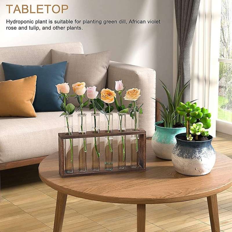 Plant Terrarium with Wooden Stand, Desktop/Wall Hanging Plant Propagation Station Planters Glass Tu