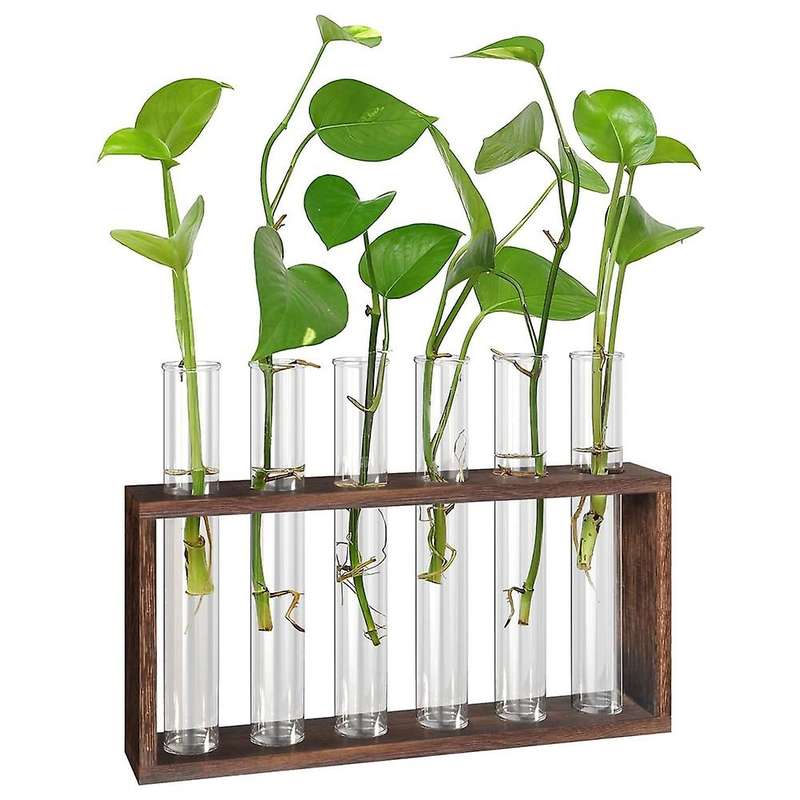 Plant Terrarium with Wooden Stand, Desktop/Wall Hanging Plant Propagation Station Planters Glass Tu