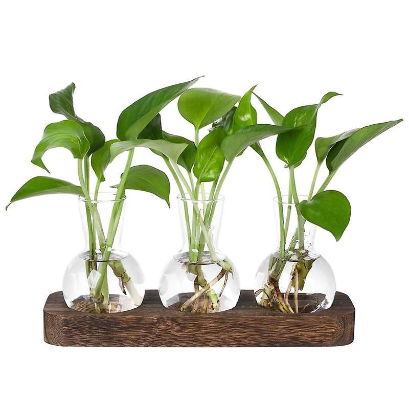 Plants Propagation Stations Glass Vase Station Retro Plant Terrarium with Wooden Tray Bulb Flower Va