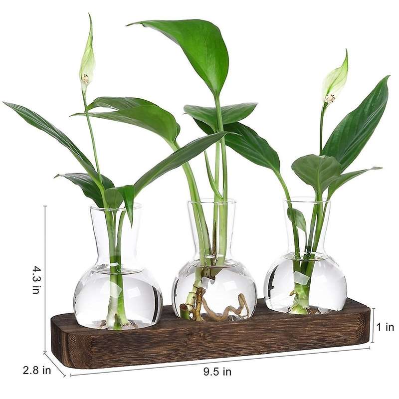 Plants Propagation Stations Glass Vase Station Retro Plant Terrarium with Wooden Tray Bulb Flower Va