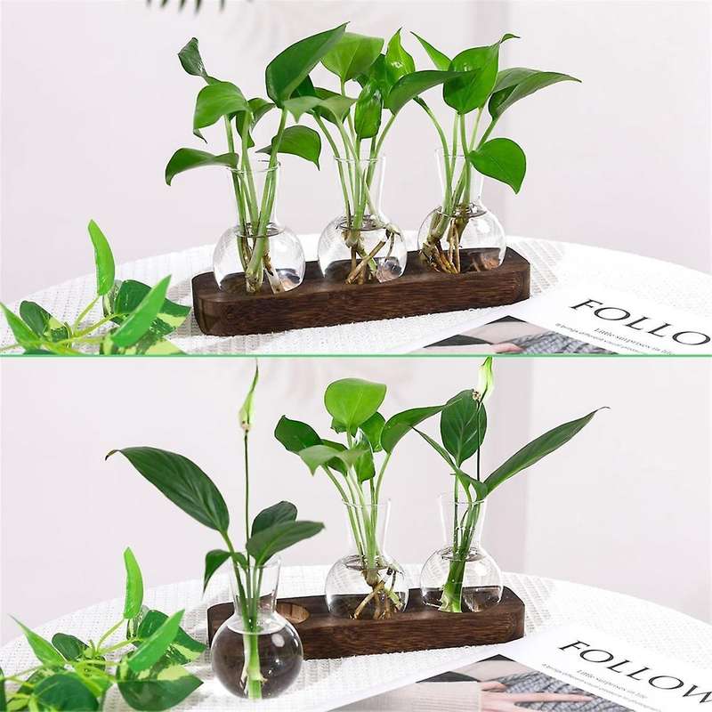 Plants Propagation Stations Glass Vase Station Retro Plant Terrarium with Wooden Tray Bulb Flower Va
