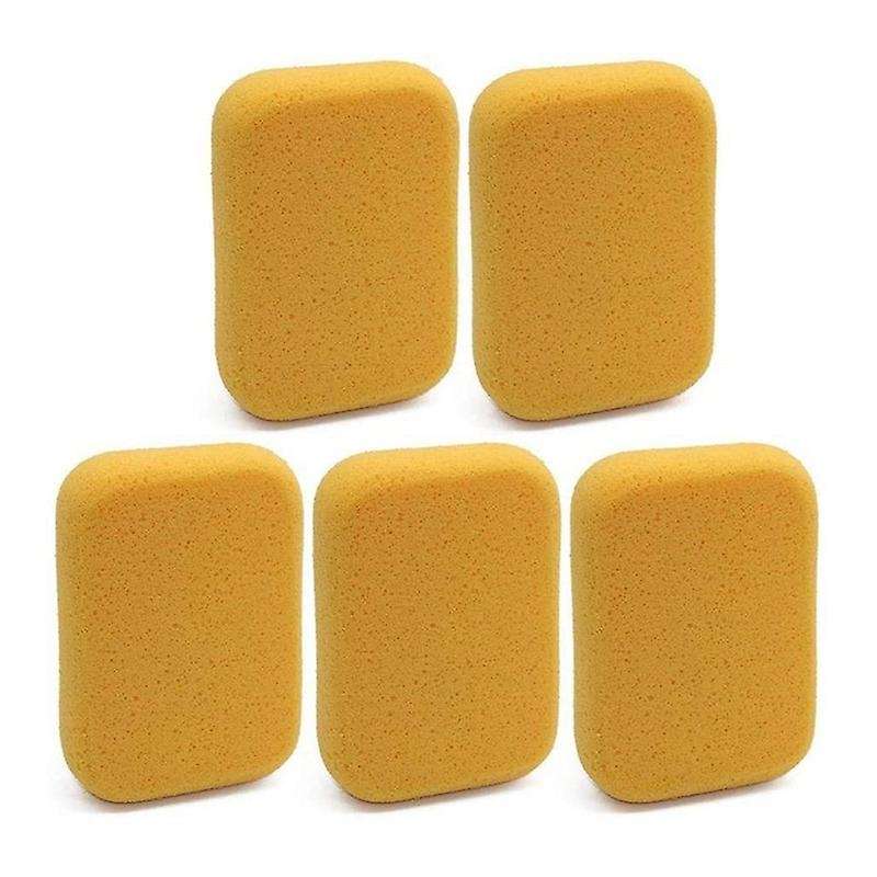 Pool Scum Sponge,5 Pcs Reusable Oil Absorbing Sponge Cleaning Sponge for Swimming Pool Hot Tubs Spa,
