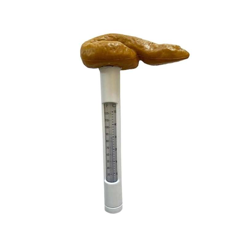 Poop Summer Swimming Pool Thermometer ,funny Pool Thermometer Floating Poop Prank Pool and Hot Tub