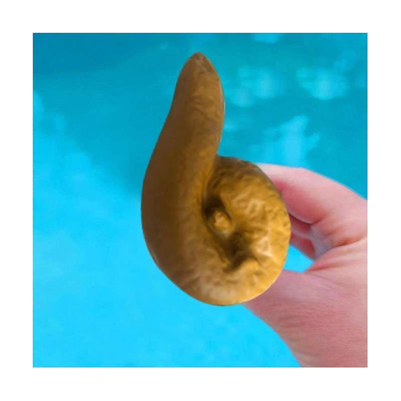 Poop Summer Swimming Pool Thermometer ,funny Pool Thermometer Floating Poop Prank Pool and Hot Tub