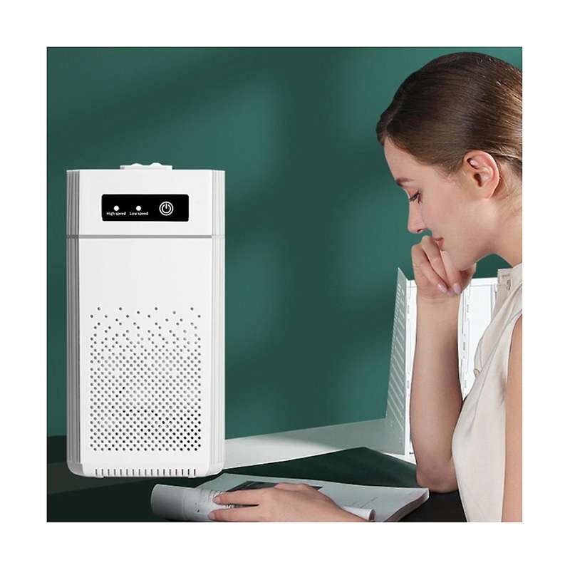 Portable Air Purifier Ionizer Negative Smoke Odor Removal Hepa Filter Car Air Freshener for Househo