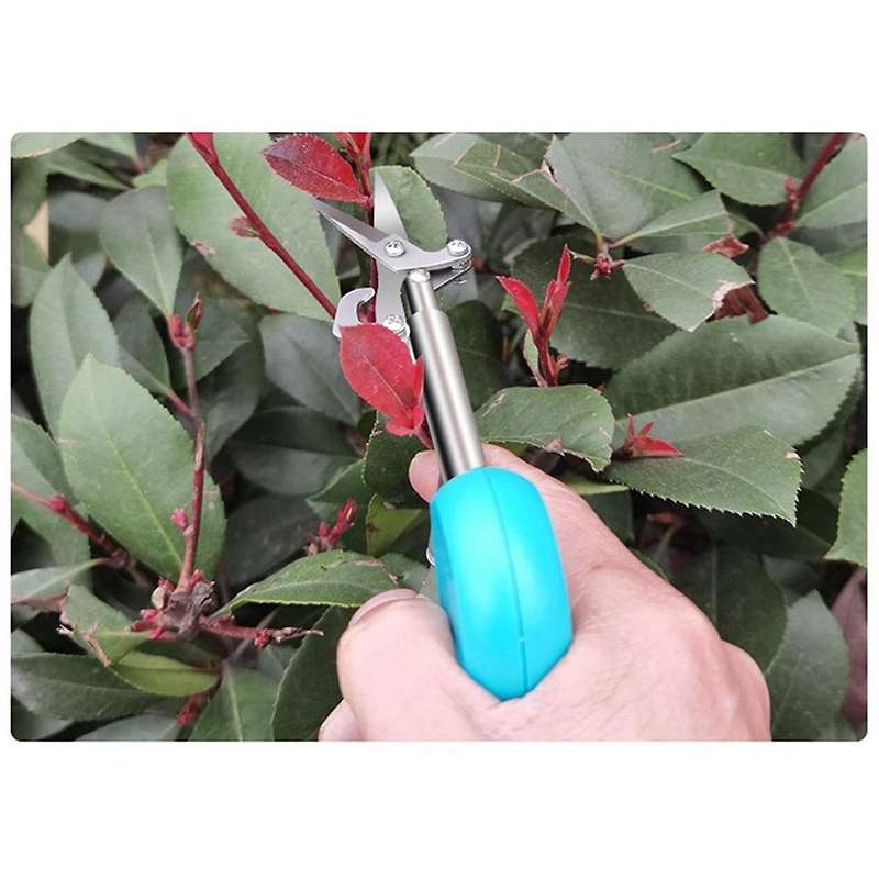 Portable Pointed Gardening Scissors Pointed Fruit Picking Scissors Floral Scissors Gardening Tools