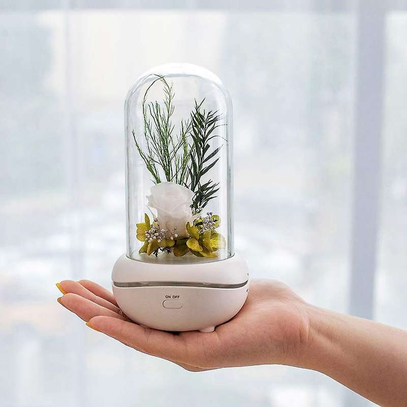 Preserved Rose Lamp Aromatherapy Machine Aroma Essential Oil Diffuser with 7 Colors Changing Light(P