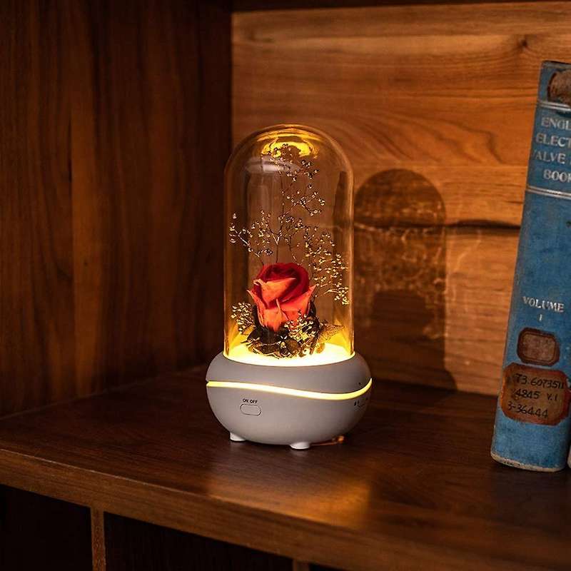 Preserved Lamp Aromatherapy Machine Oil Diffuser with 7 Colors Changing Light(red)