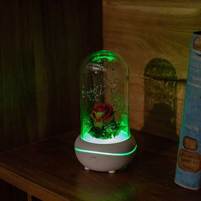 Preserved Lamp Aromatherapy Machine Oil Diffuser with 7 Colors Changing Light(red)