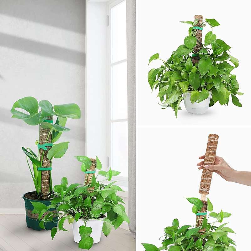 40cm Moss Rod Plant Stakes Stackable Coconut Pole