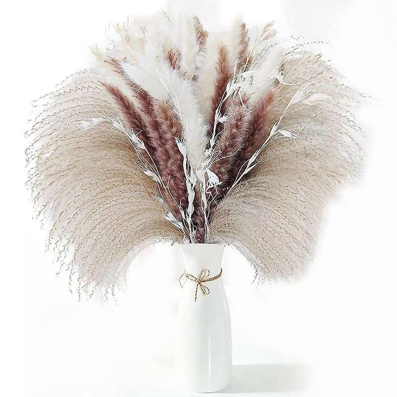 Dried Pampas Grass Boho Decor for Vase Flower Arrangements Home