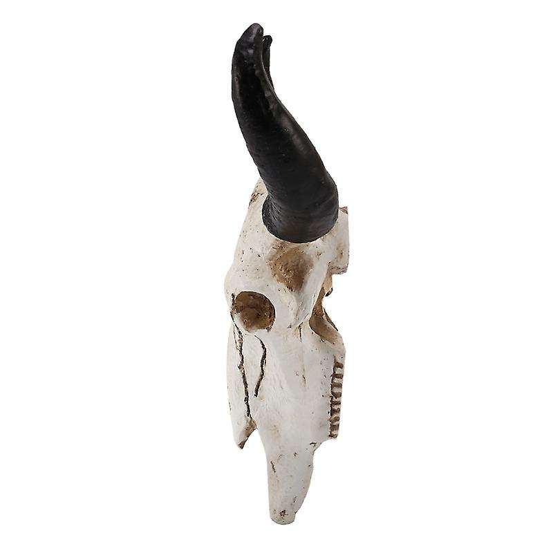 Resin Longhorn Cow Skull Head Wall Decor 3d Wildlife Sculpture
