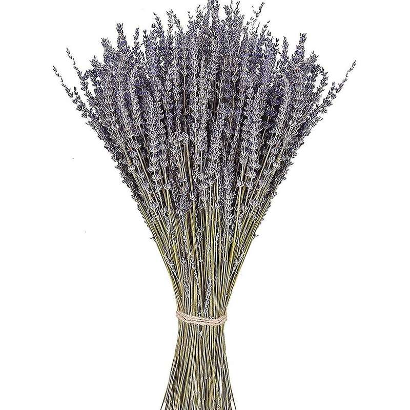 300-320 Stems Natural Dried Lavender Bunches for Home Decoration,home