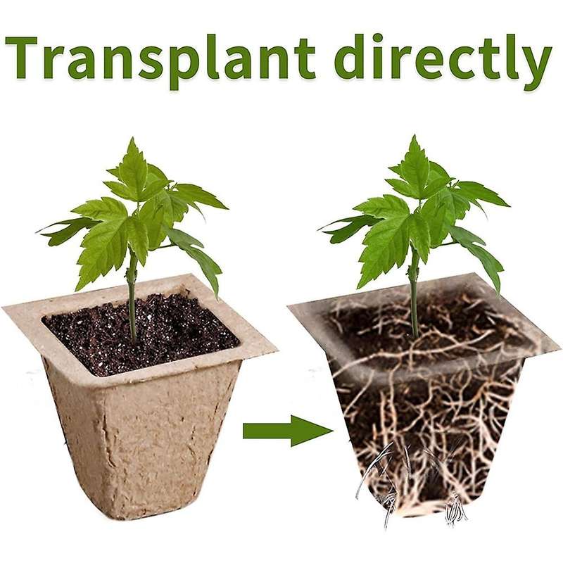 Square Propagation Pots for Plants, Seed Pot, Plant Growing Pots