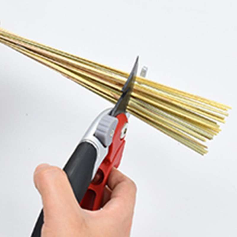 100pcs Natural Dried Pampas Grass Fluffy Stems Dry Pampas Bouquets