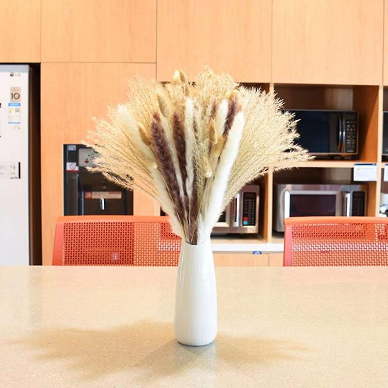 100pcs Natural Dried Pampas Grass Fluffy Stems Dry Pampas Bouquets