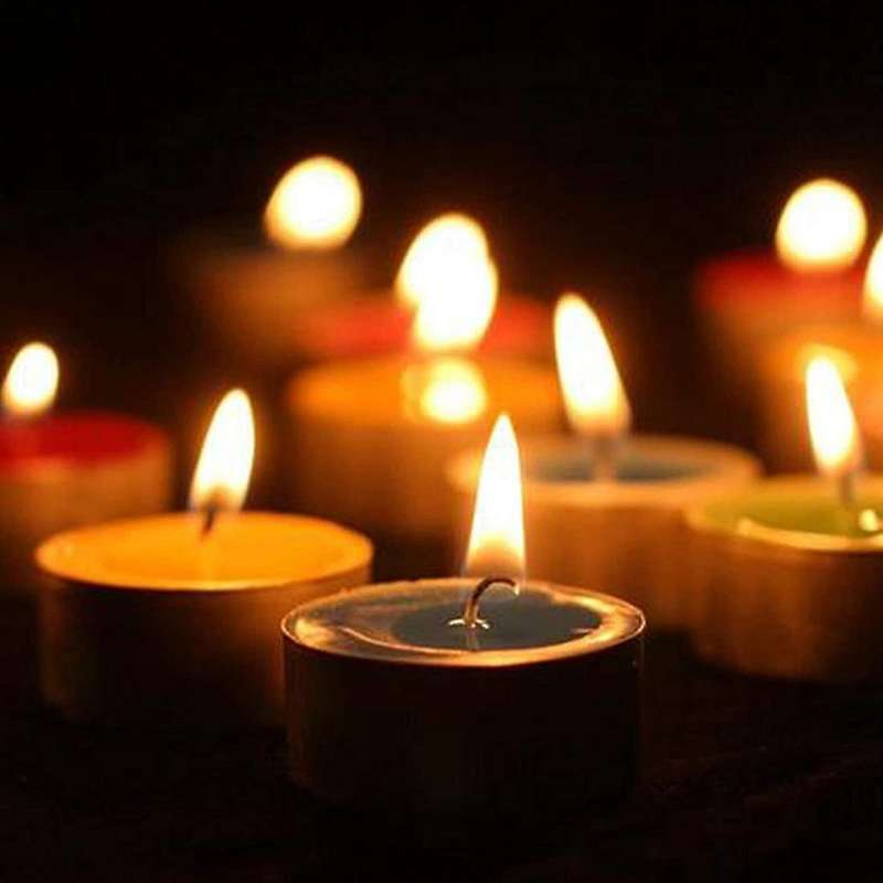 50 Pack Wax Containers Plastic Candle Molds 6 Cavity Wax Candle Molds