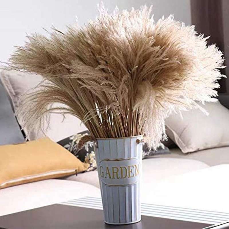 100 Pcs Dried Pampas Grass Decor, 17.7inch for Wedding Bouquets