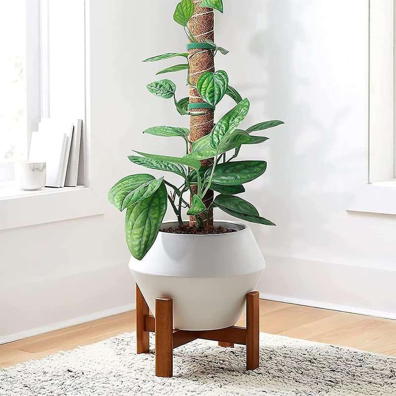 Cocoa Rods for Plant Monstera Support-retractable Plant Accessories