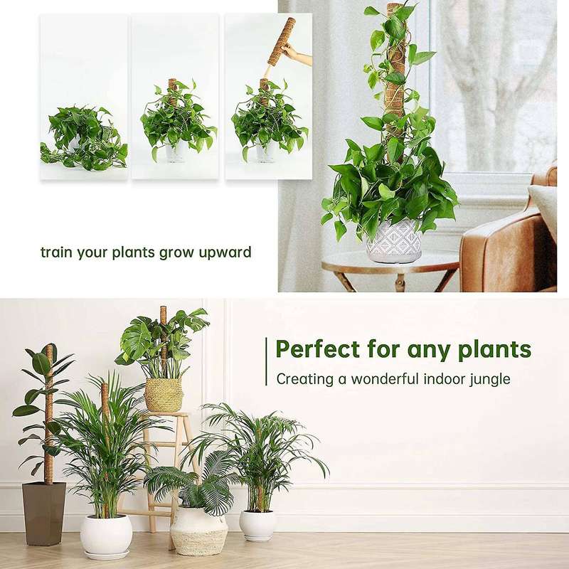 4pcs Coir Totem Pole Moss Stick for Indoor Potted Plants Support