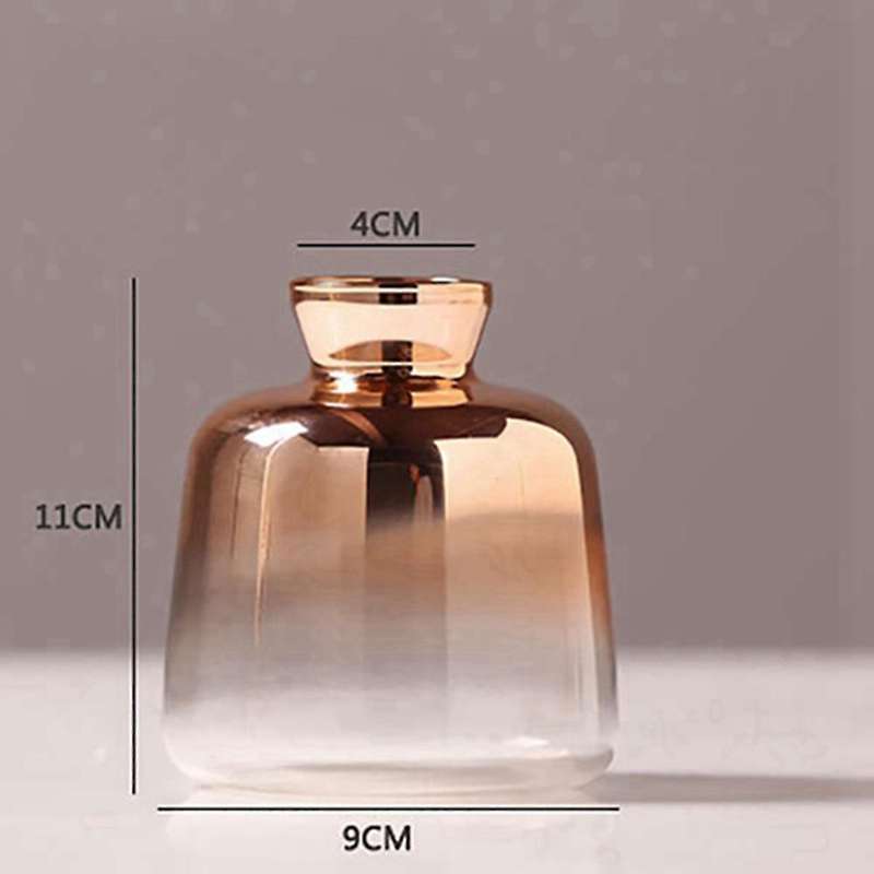 2 Pack Glass Vase for Home Decor Dried Flower Bottle Decorations