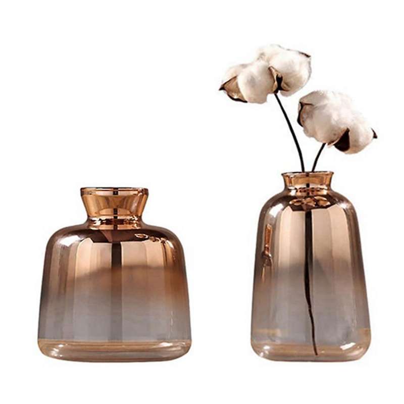 2 Pack Glass Vase for Home Decor Dried Flower Bottle Decorations