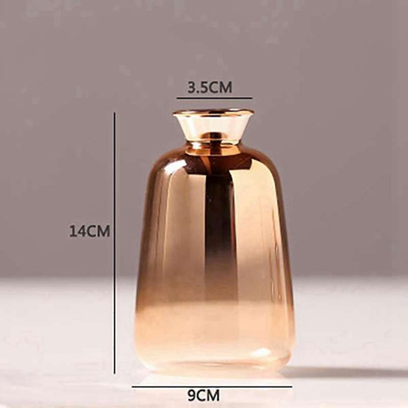 2 Pack Glass Vase for Home Decor Dried Flower Bottle Decorations