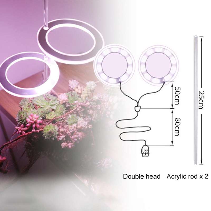 Ring Grow Light Dc5v Usb Phytolamp for Plants Led Full Spectrum D